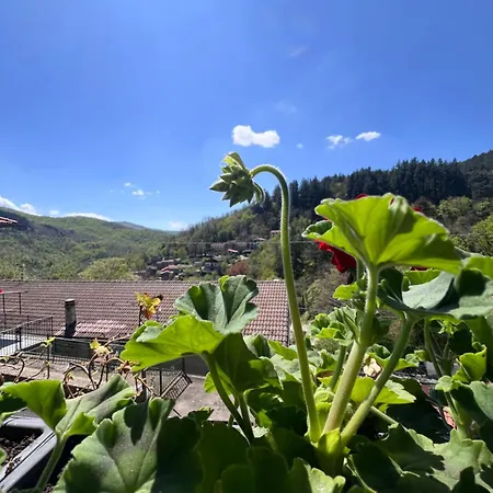 Tatil Evi Casa Nanda